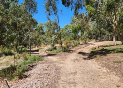 Billabong 04 Take the track to the left at this junction