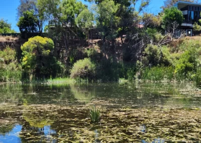 Billabong 05 Note the unfenced cliff near the entrance