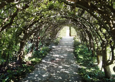 Carrick Hill grounds 1