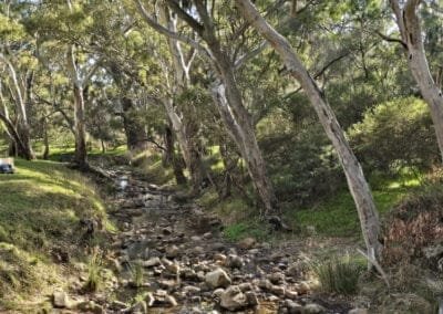 Morialta Recreation Park - 1