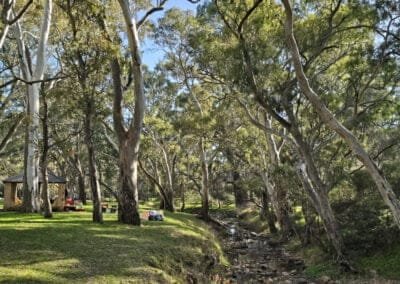 Morialta Recreation Park - 2