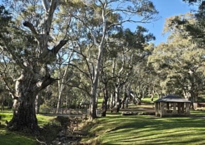 Morialta Recreation Park - 3