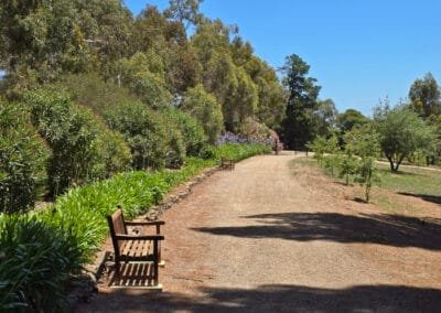 Carrick Hill - the new pathway from the second to the third car park