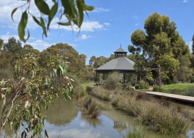 Oaklands Wetlands 01