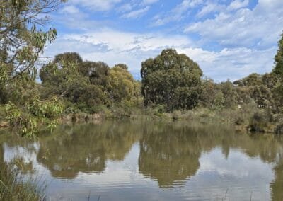 Oaklands Wetlands 02