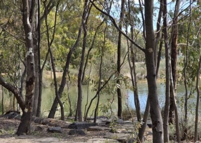 Oaklands Wetlands 03