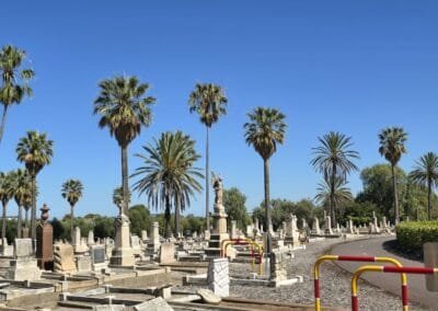 West Tce Cemetery: Views-1