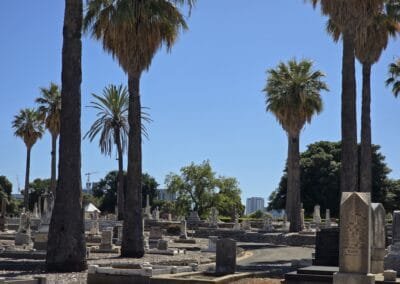 West Tce Cemetery: Views-2