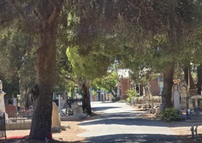 West Tce Cemetery: Views-4