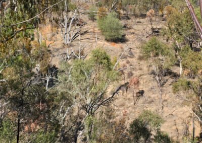 Anstey Hill 2025-05-02_1