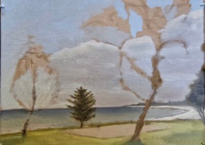 2025-08-22_Kingston Foreshore Reserve - Day 1 - John