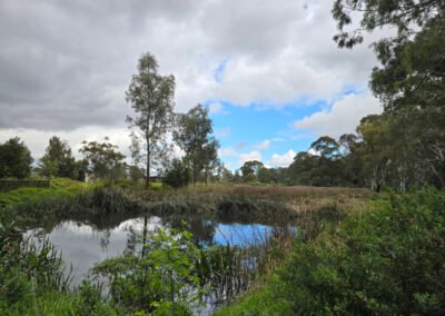 2025-09 12_Felixstow Reserve 02