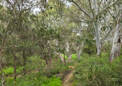 2025-09 12_Felixstow Reserve 04