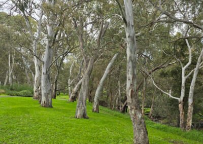 2025-09 12_Felixstow Reserve 05