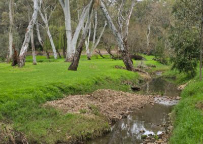 2025-09 12_Felixstow Reserve 07