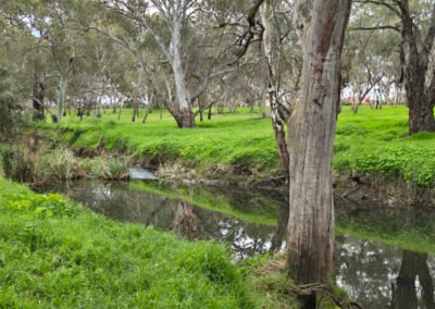 2025-09 12_Felixstow Reserve 08