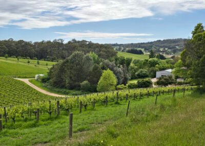 2025-11-14_Gores Rd Piccadilly