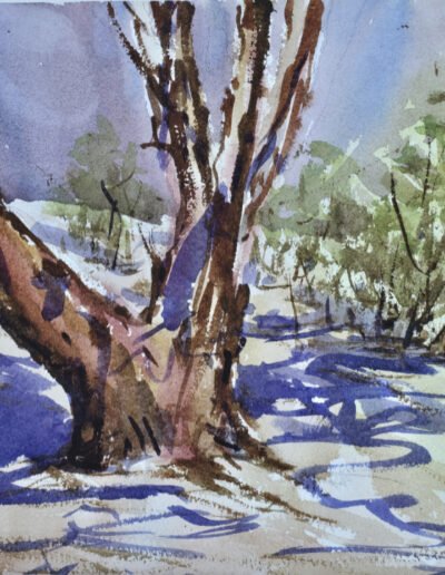 2026-01-30_Urrbrae House 02 - Mo