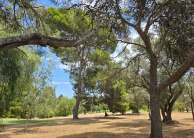2026-01-09 Light's Statue 07 - golf course