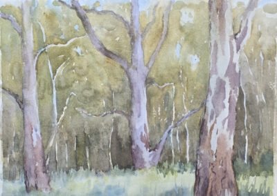 2026-07-17 St Peters Billabong - Margaret