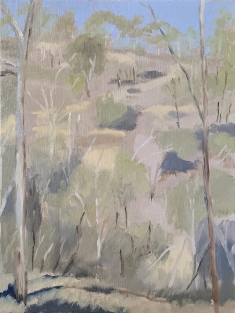 2025-05-02 - John - Anstey Hill Quarry Recreation Park