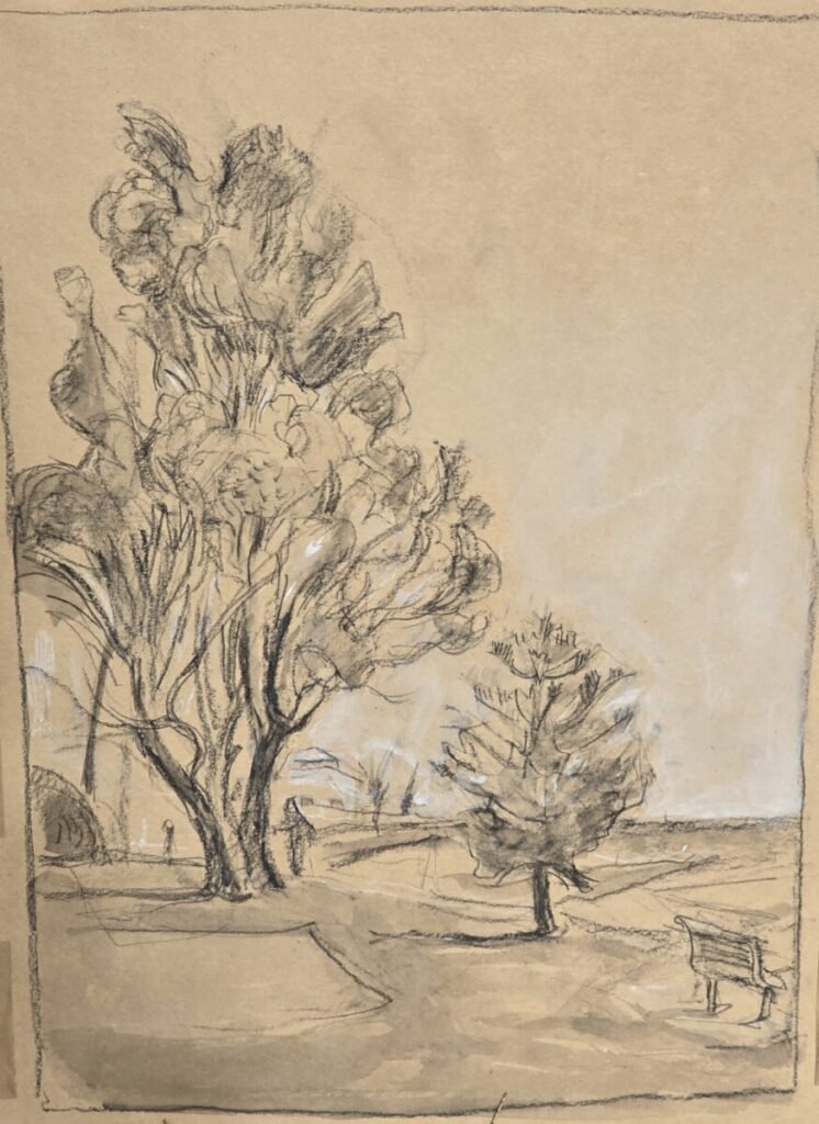 2025-08-22 - Tony - Kingston Foreshore Reserve