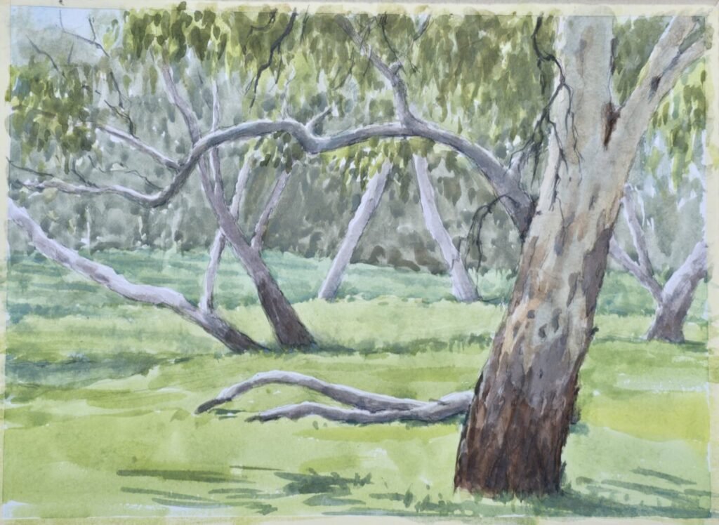 2025-09-26 - Margaret - Felixstow Reserve