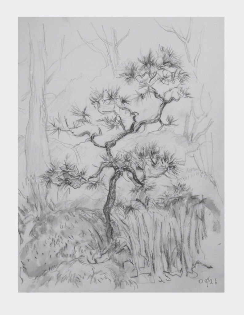2026-08-03 - Tony - Himeji Gardens Tree - chalks sumi ink and rice paper