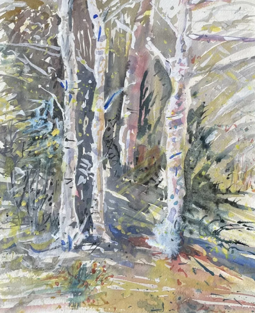 2023-03-14 - Peter - Mt Lofty Botanic Gardens - watercolour