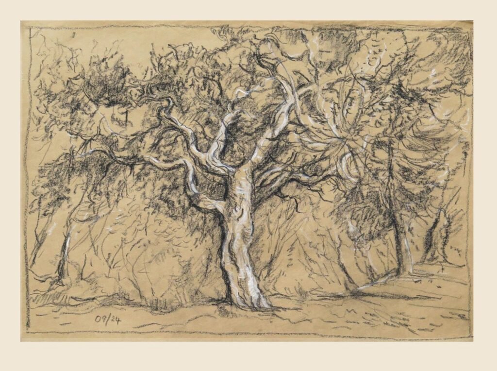 2024-09-27 - Tony - CorkTree, Michael Perry Reserve