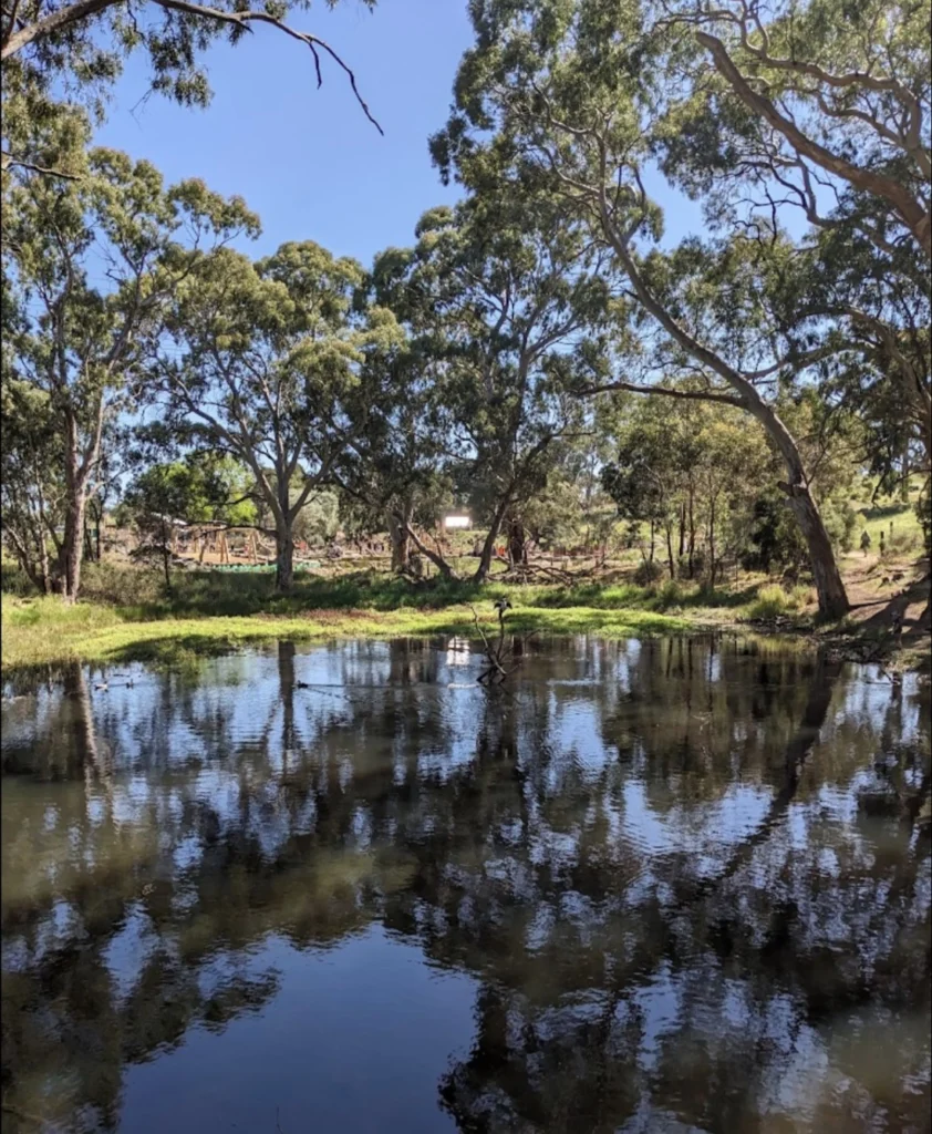2024-10-04 Glenthorne National Park, O'Halloran Hill - Google